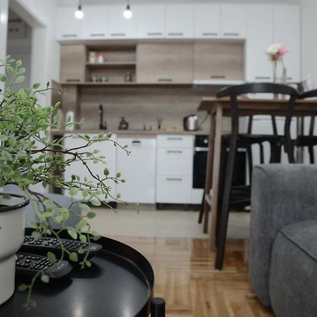 Apartment Dobraya Grey ノヴィ・サド エクステリア 写真