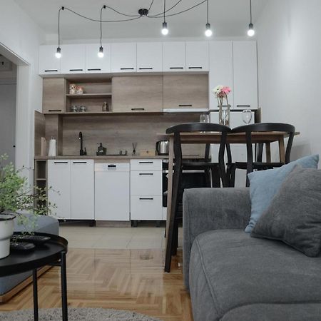 Apartment Dobraya Grey ノヴィ・サド エクステリア 写真