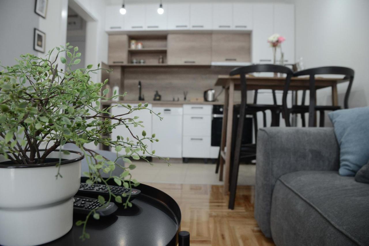 Apartment Dobraya Grey ノヴィ・サド エクステリア 写真