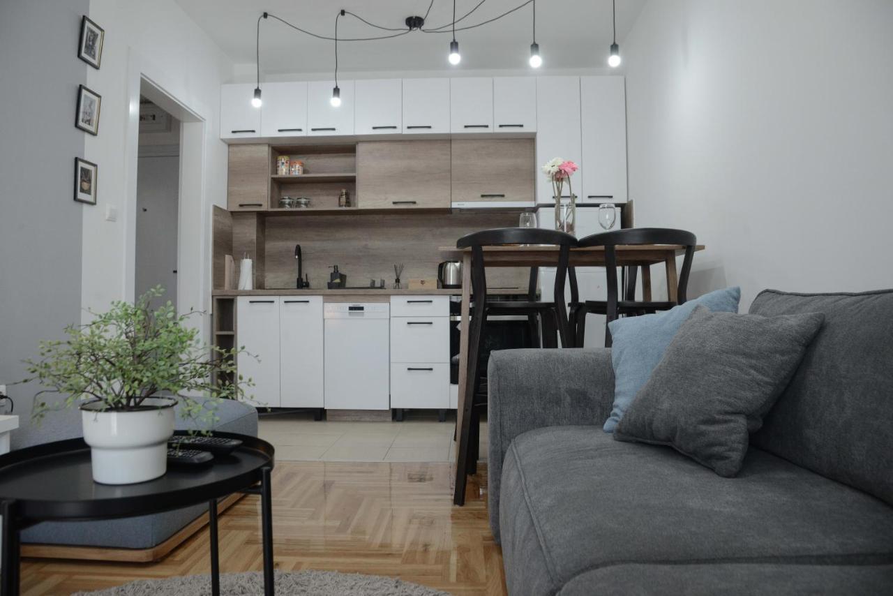 Apartment Dobraya Grey ノヴィ・サド エクステリア 写真
