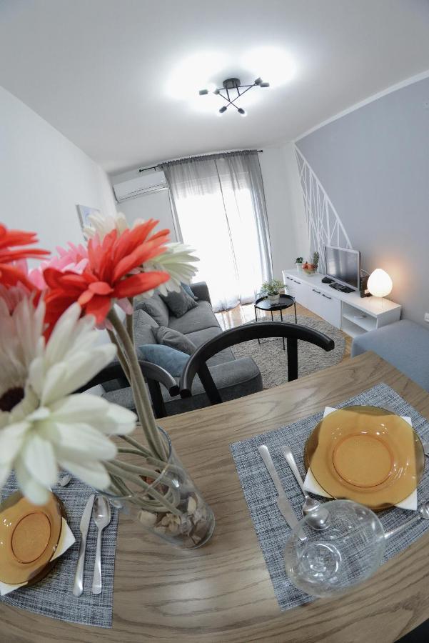 Apartment Dobraya Grey ノヴィ・サド エクステリア 写真
